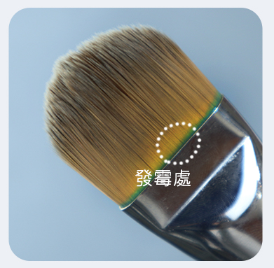 刷具發霉
