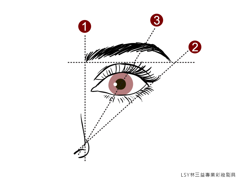 眉毛,眉筆,LSY林三益,學畫流星眉跟平眉，或任何眉型之前，都要先知道眉頭、眉尾跟眉峰這三個部位在哪裡～