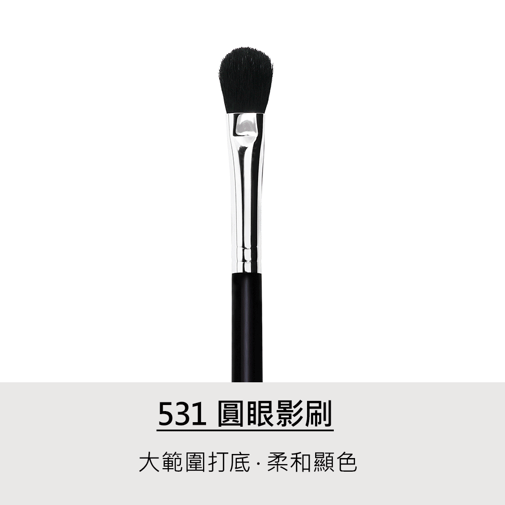 底妝,眼影,LSY林三益 流順霧感眉睫組(白),531圓眼影刷_商品使用