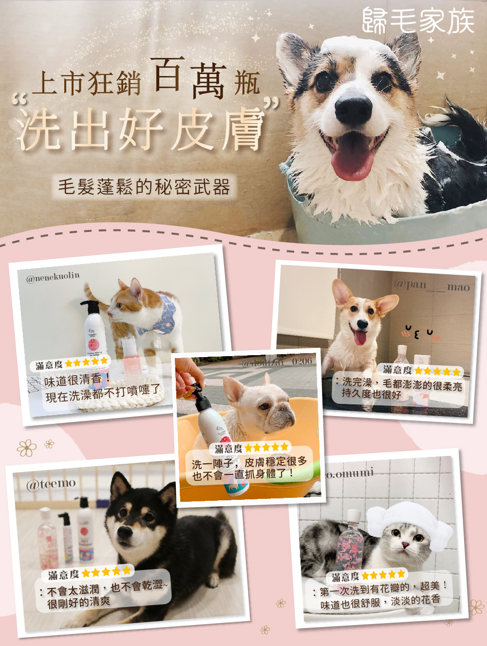 
寵物沐浴養護,花萃清爽洗毛乳,小蒼蘭,歸毛家族,歸毛家族 寵物沐浴養護(花萃清爽洗毛乳)-小蒼蘭,商品頁面介紹圖06